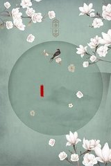 芒果视频网页版黄